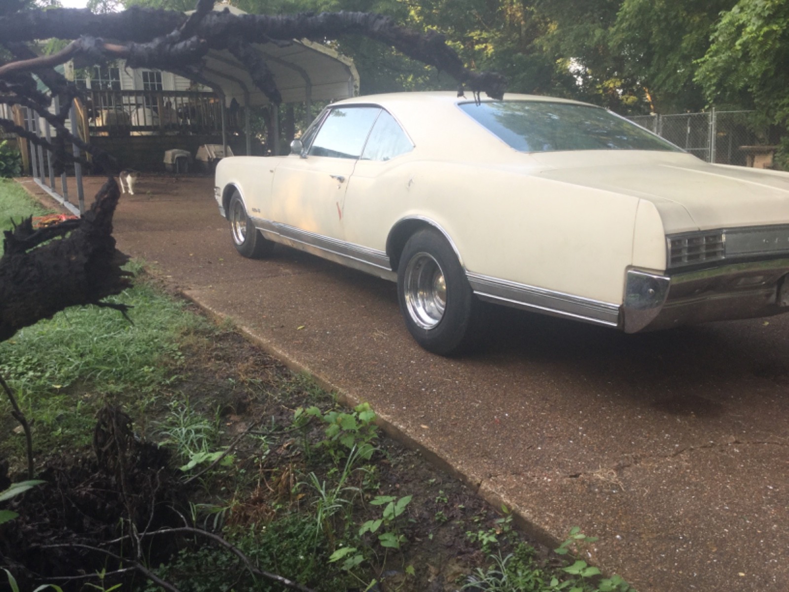 Oldsmobile-Delta-88-Holiday-Coupe-1966-Coupe-2