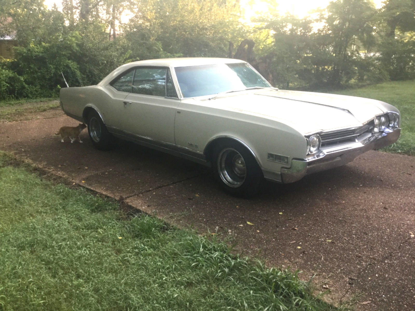 Oldsmobile-Delta-88-Holiday-Coupe-1966-Coupe-4