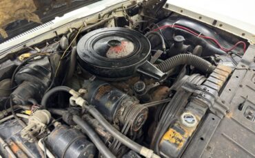 Oldsmobile-Dynamic-88-1961-Provincial-White-Green-33