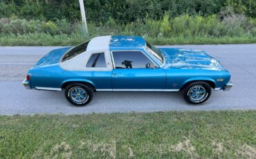 Oldsmobile-Omega-1975-Coupe-22