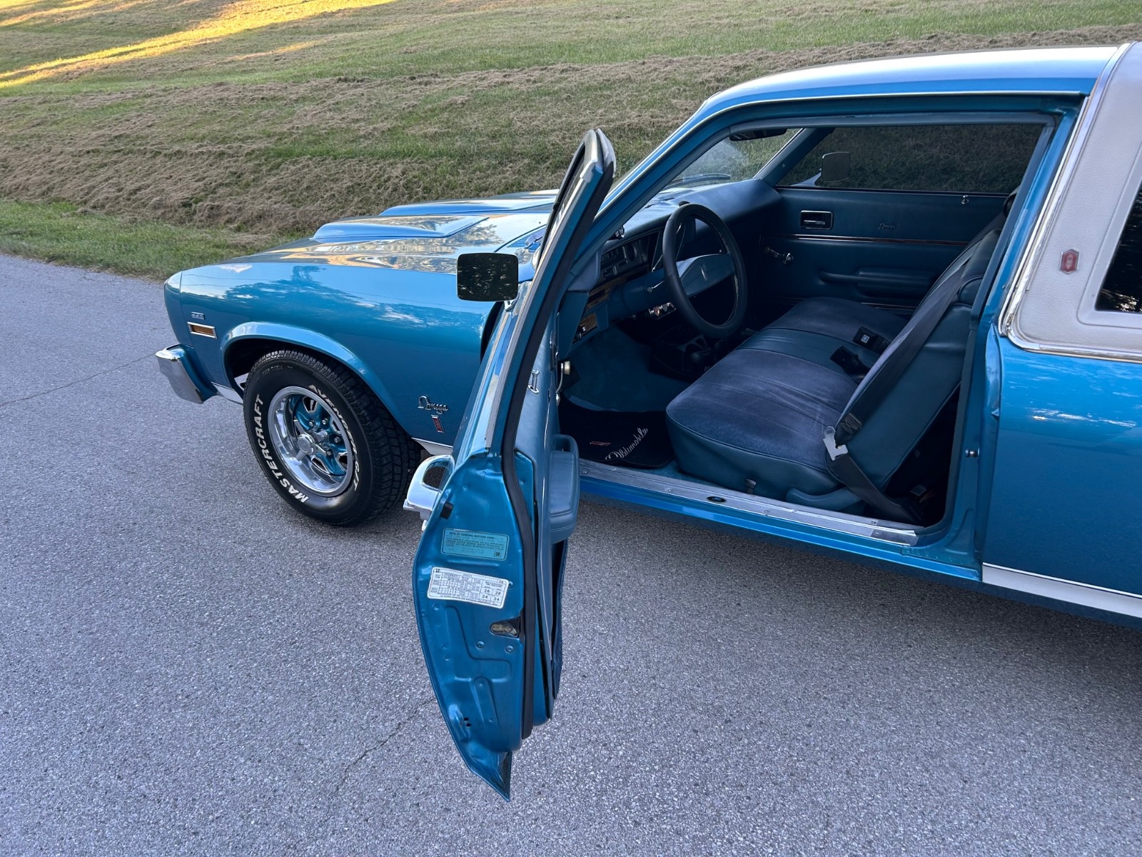 Oldsmobile-Omega-1975-Coupe-5