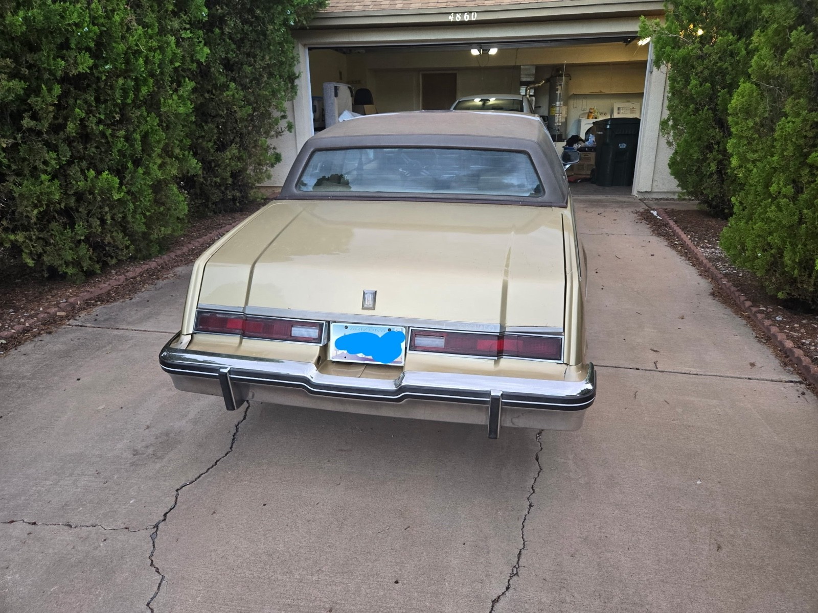 Oldsmobile-Toronado-1984-2