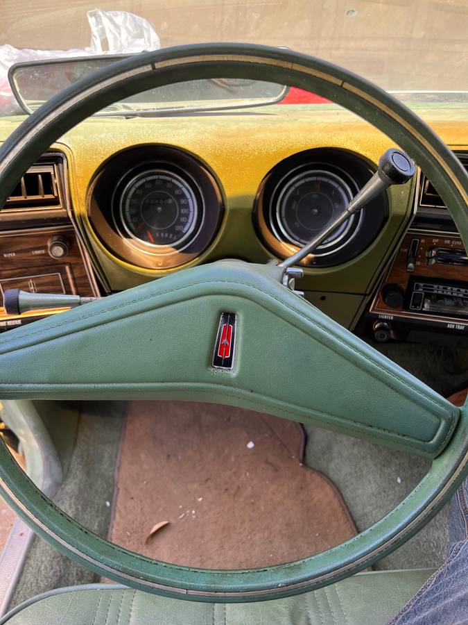 Oldsmobile-cutlass-1974-green-13