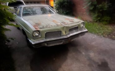 Oldsmobile-cutlass-1974-green-3