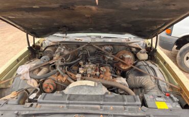 Oldsmobile-cutlass-1974-green-6