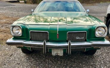 Oldsmobile-cutlass-supreme-1973-green-1