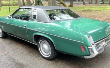 Oldsmobile-cutlass-supreme-1973-green-10