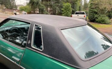 Oldsmobile-cutlass-supreme-1973-green-14
