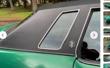 Oldsmobile-cutlass-supreme-1973-green-21