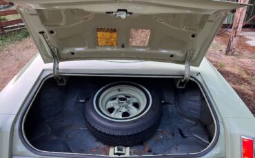 Oldsmobile-cutlass-supreme-1975-14