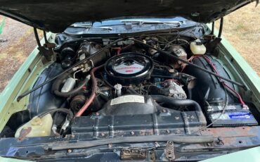 Oldsmobile-cutlass-supreme-1975-15
