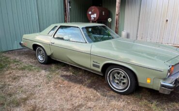 Oldsmobile-cutlass-supreme-1975-5