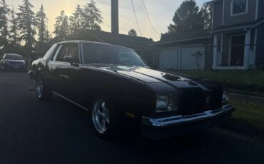 Oldsmobile-cutlass-supreme-brougham-1979-red-13