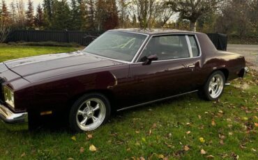 Oldsmobile-cutlass-supreme-brougham-1979-red-4