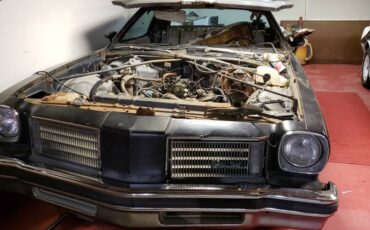 Oldsmobile-cutlass-w30-1975-black-3