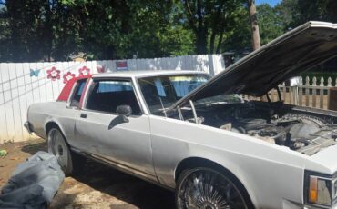 Oldsmobile-delta-88-1983-2