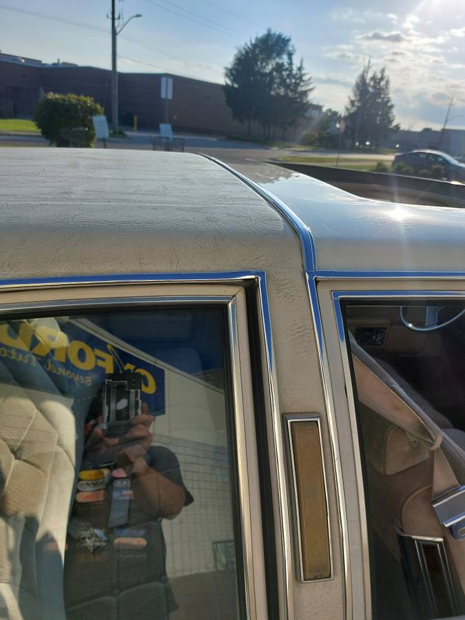 Oldsmobile-delta-88-1984-white