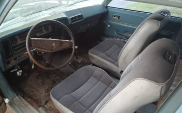 Oldsmobile-omega-1975-15