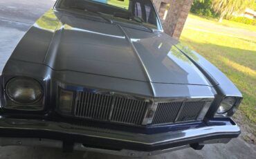 Oldsmobile-omega-1976-grey-1
