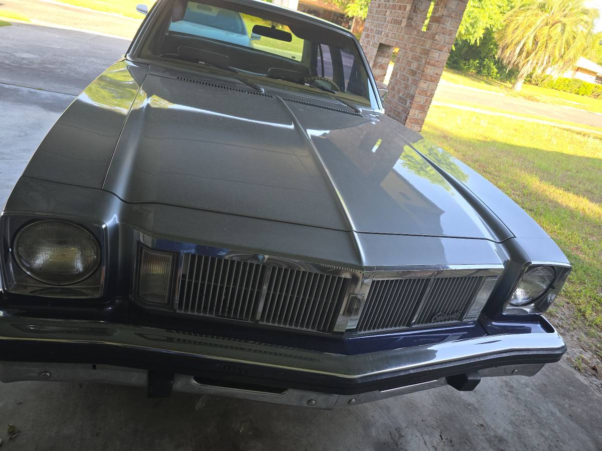 Oldsmobile-omega-1976-grey-1