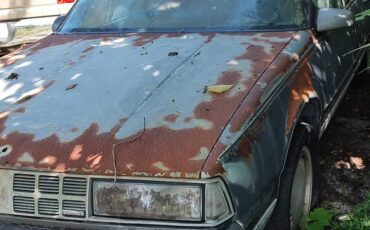 Oldsmobile-touring-coupe-1989-blue