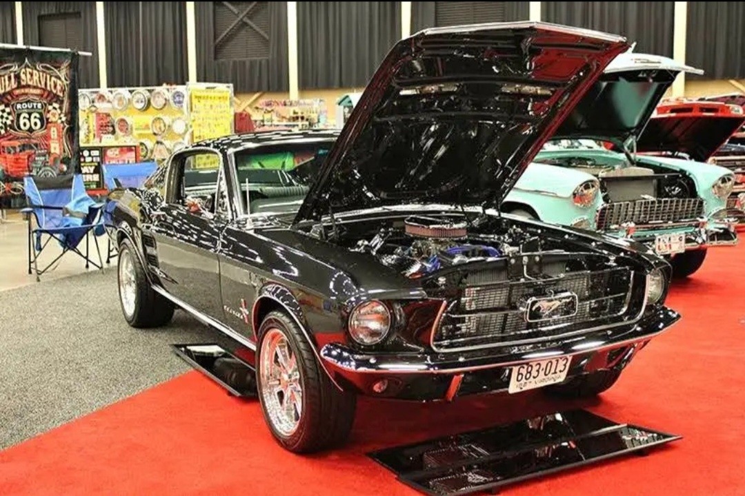 Other-Makes-1967-ford-mustang-1967-1