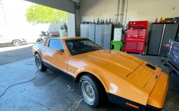 Other-Makes-1975-Coupe