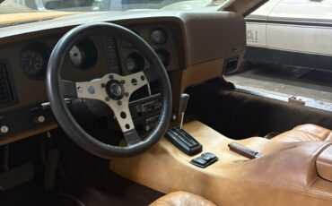 Other-Makes-1975-Coupe-7
