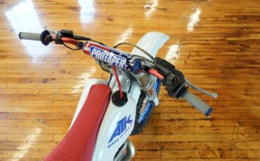 Other-Makes-ATK-250-1992-21