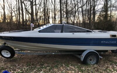 Other Makes Bayliner Capri 1988
