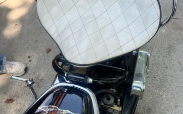 Other-Makes-Cushman-Silver-Eagle-1965-15
