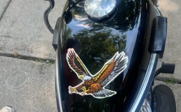 Other-Makes-Cushman-Silver-Eagle-1965-30