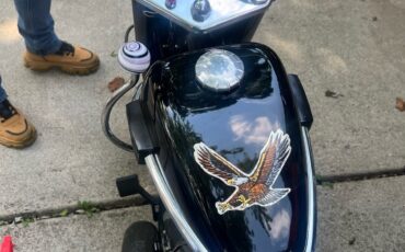 Other-Makes-Cushman-Silver-Eagle-1965-36