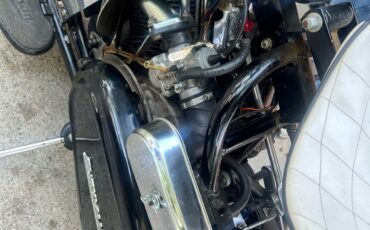 Other-Makes-Cushman-Silver-Eagle-1965-8
