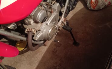 Other-Makes-SL-175-1975-3