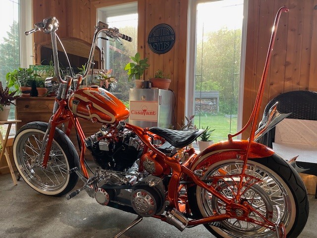 Other-Makes-Shovelhead-1981