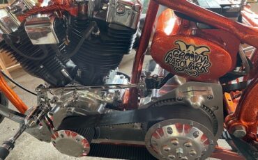 Other-Makes-Shovelhead-1981-3