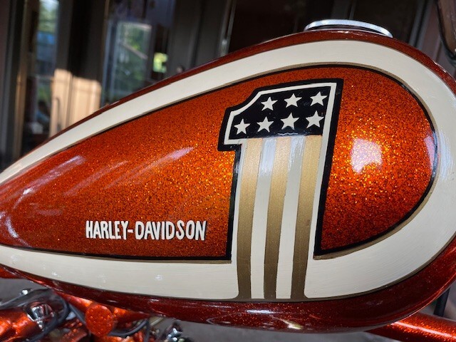 Other-Makes-Shovelhead-1981-6
