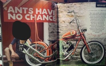 Other-Makes-Shovelhead-1981-8