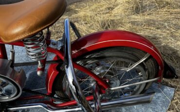 Other-Makes-Whizzer-Sportsman-1951-7