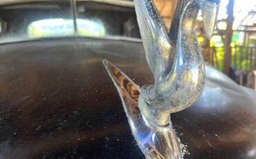 Packard-1950-black-15