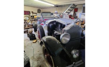 Packard-Roadster-1929-grey-red-11