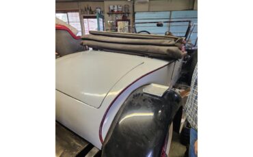 Packard-Roadster-1929-grey-red-2