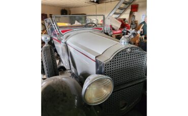 Packard-Roadster-1929-grey-red