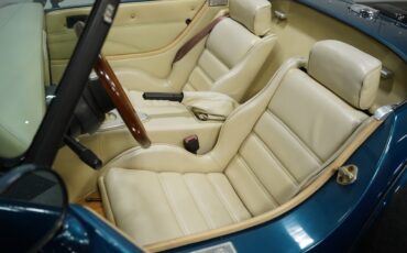 Panoz-Roadster-1993-Roadster-33