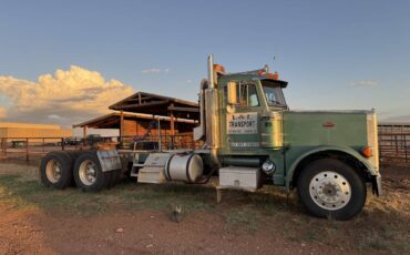 Peterbilt-379-diesel-1987