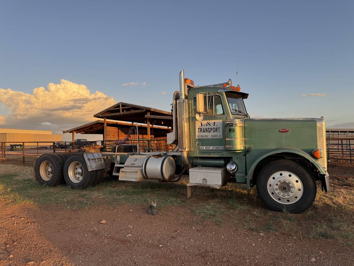 Peterbilt-379-diesel-1987