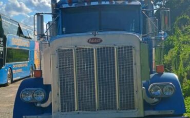 Peterbilt-379-diesel-1993-blue-3