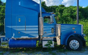 Peterbilt-379-diesel-1993-blue-4