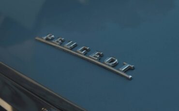 Peugeot-504-1978-9